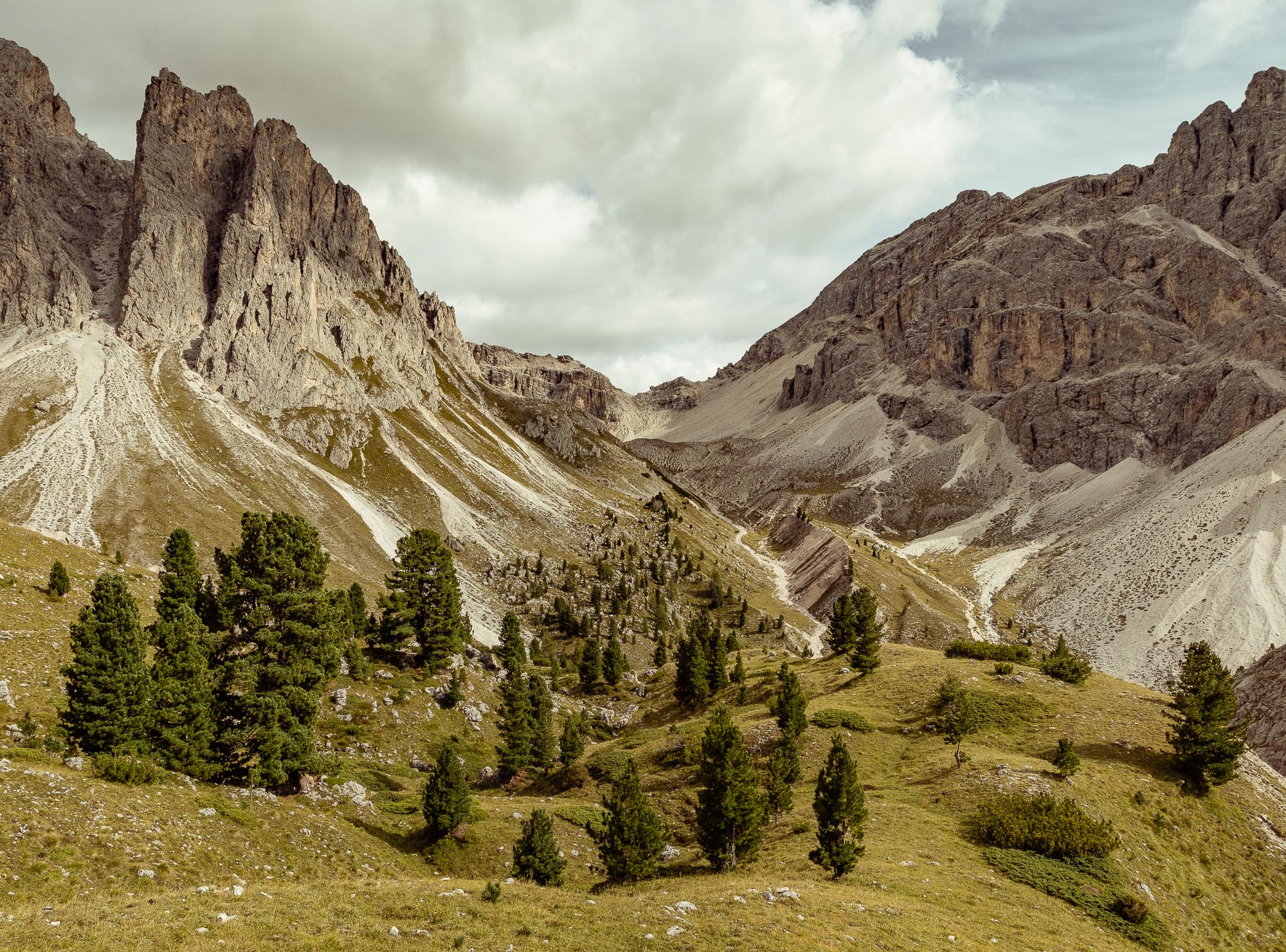 Alps 001