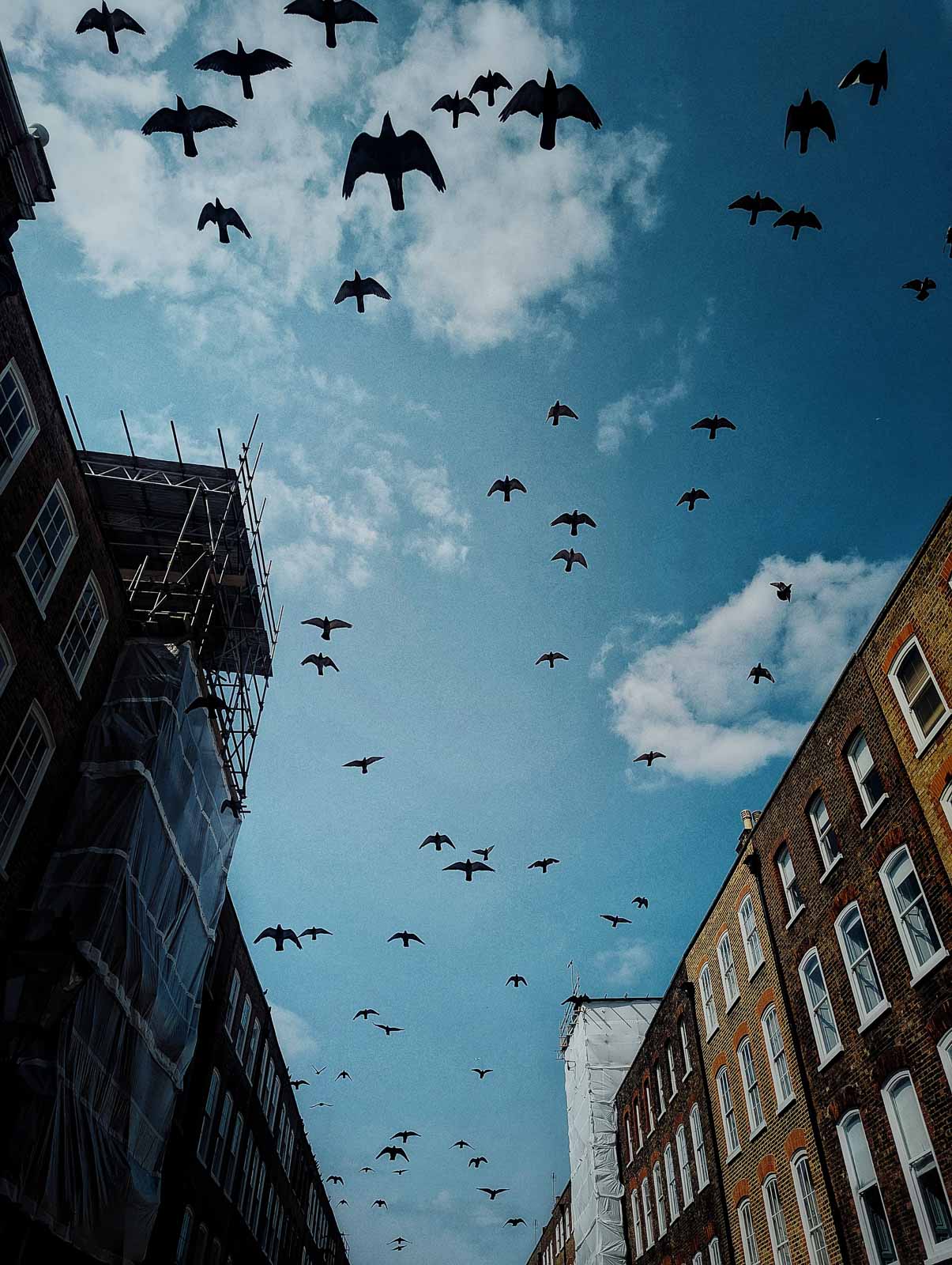 London